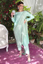 Picture of Elsa shirt and pant