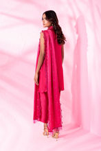 Picture of Carnation