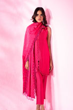 Picture of Carnation