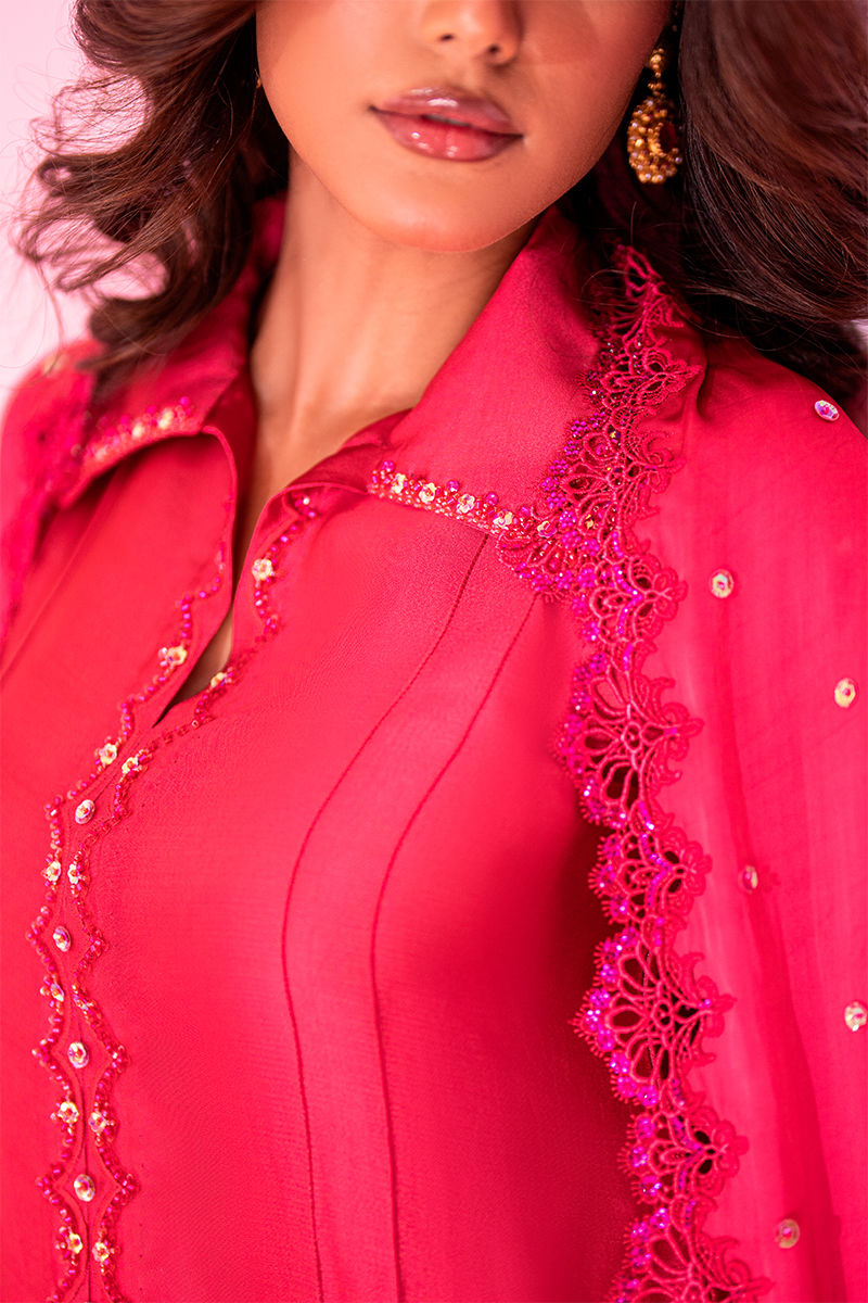 Picture of Carnation