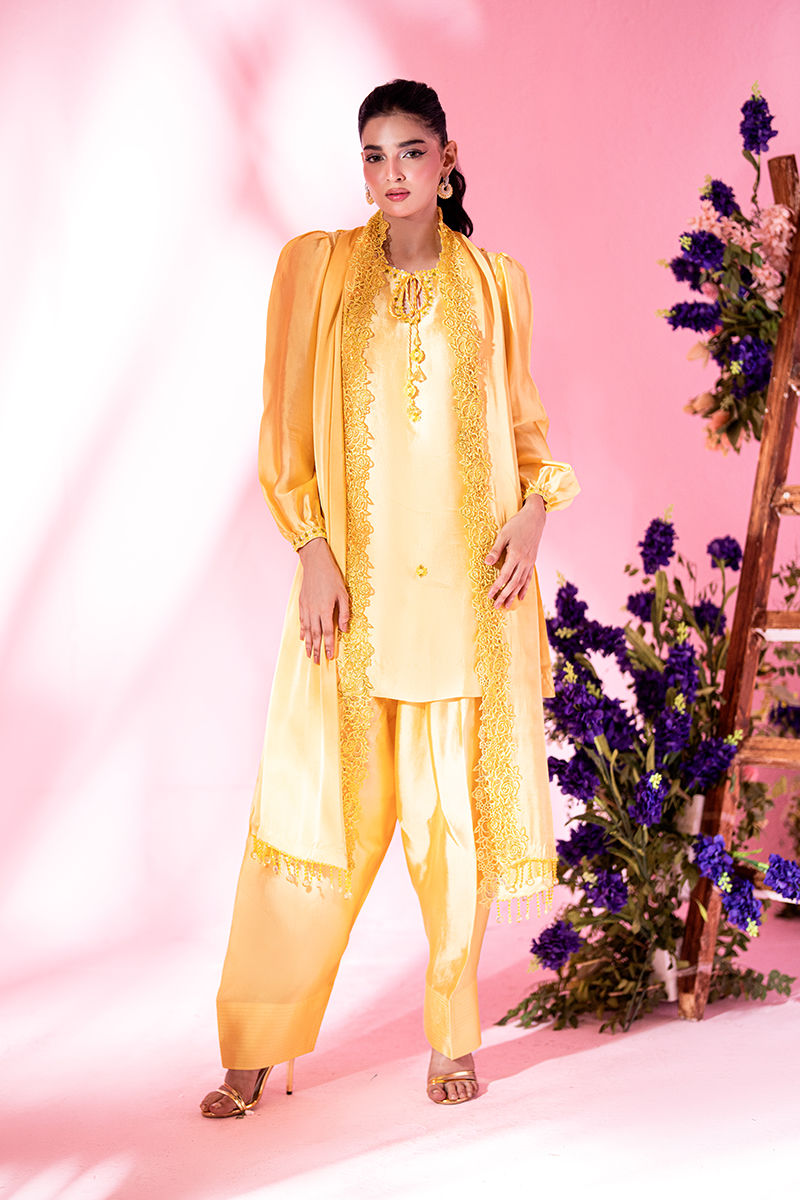 Picture of Sunflower