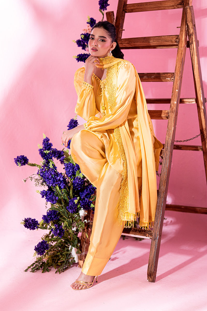 Picture of Sunflower