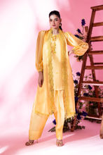 Picture of Sunflower