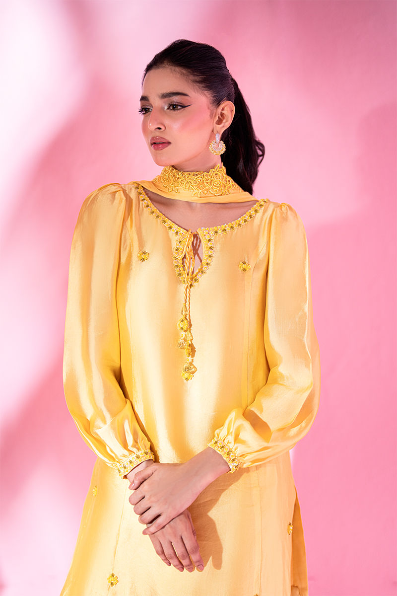 Picture of Sunflower