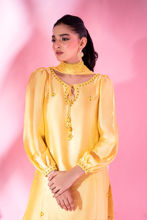 Picture of Sunflower