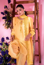 Picture of Sunflower