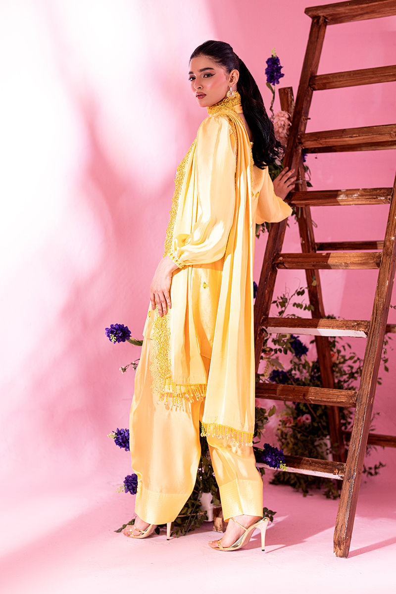 Picture of Sunflower