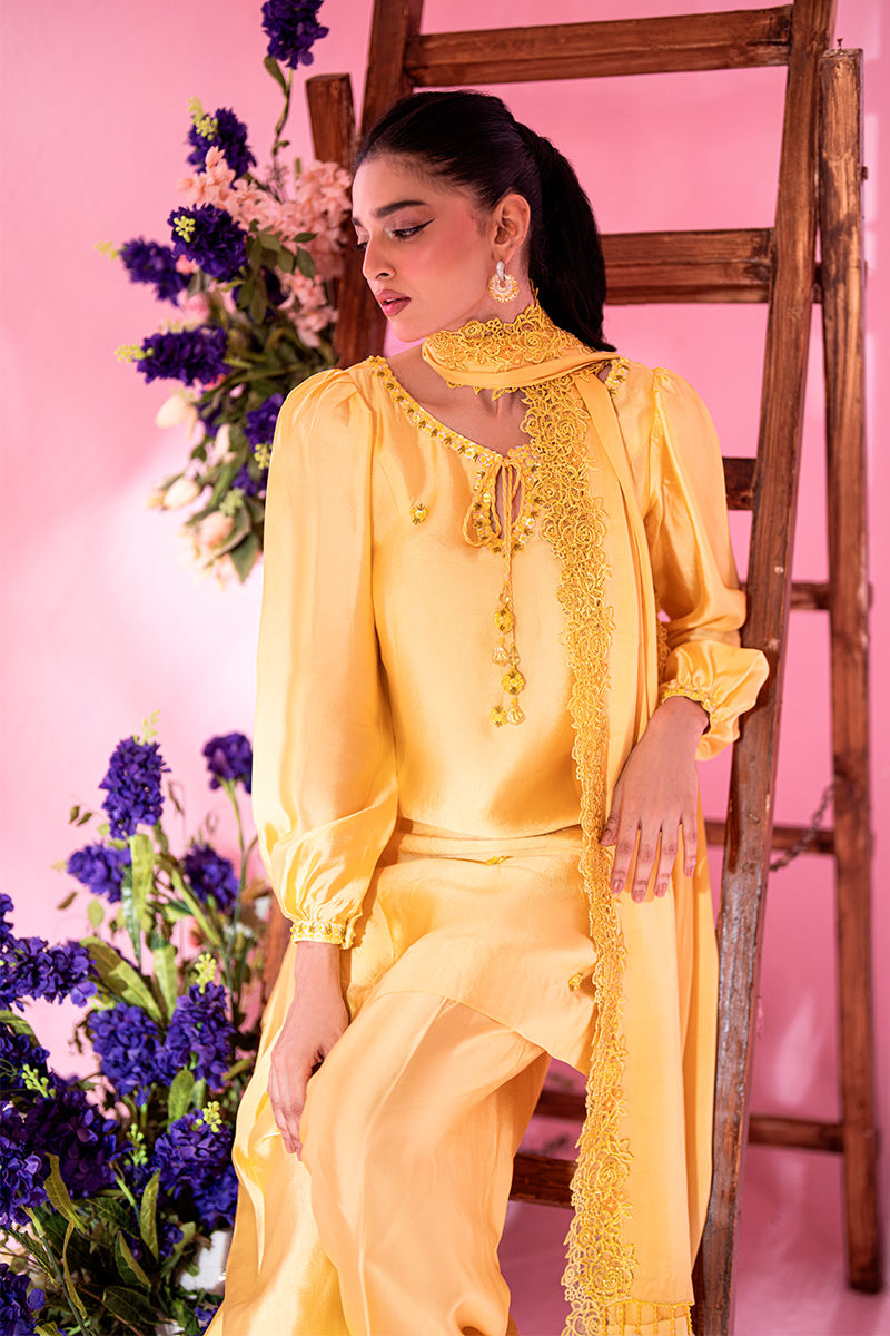 Picture of Sunflower