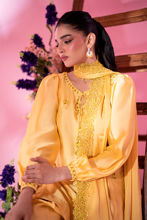 Picture of Sunflower