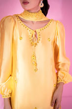 Picture of Sunflower