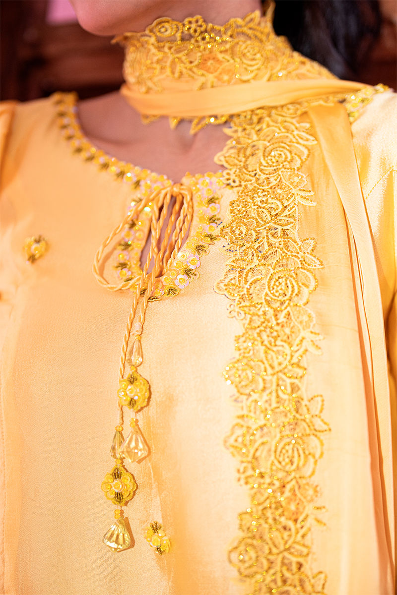 Picture of Sunflower