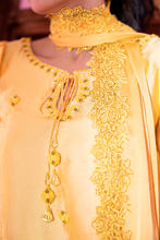 Picture of Sunflower